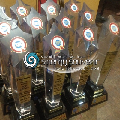 Trophy Piala bintang